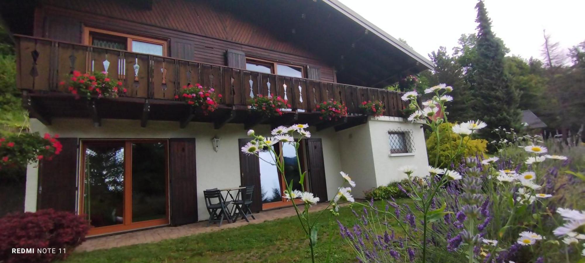 Chalet Au Bois Des Ecureuils Classe Trois Etoiles. Muhlbach-sur-Munster Dış mekan fotoğraf