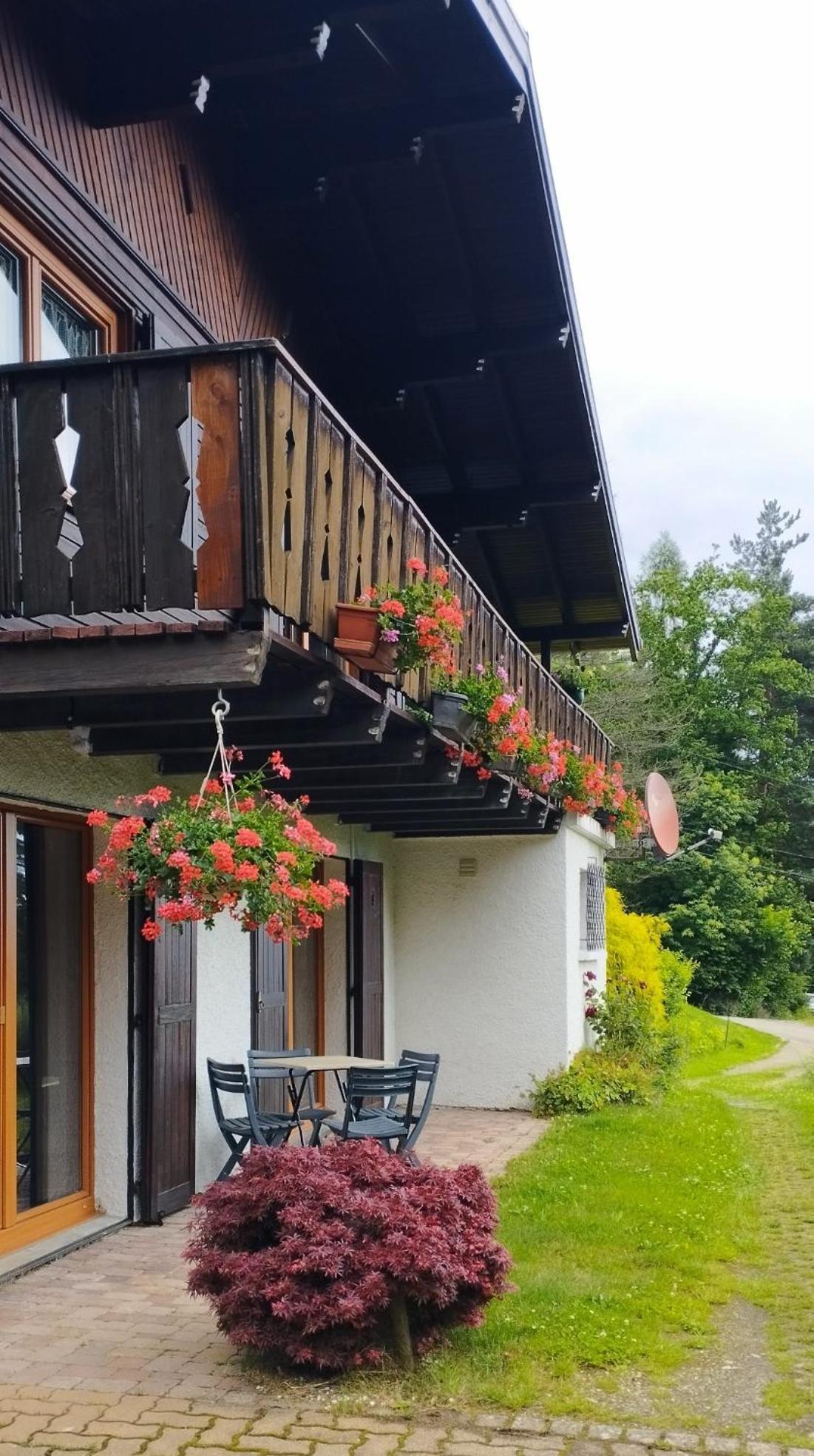 Chalet Au Bois Des Ecureuils Classe Trois Etoiles. Muhlbach-sur-Munster Dış mekan fotoğraf