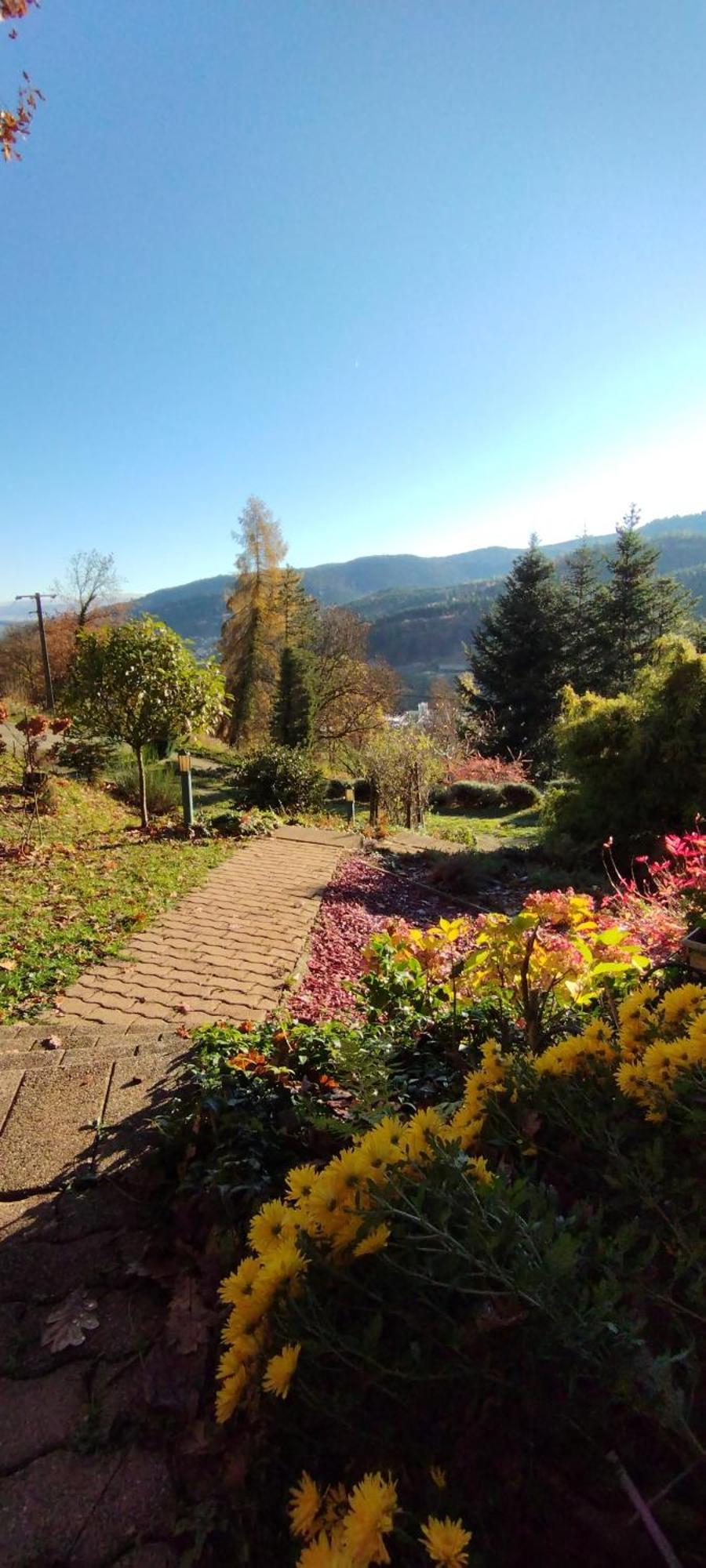 Chalet Au Bois Des Ecureuils Classe Trois Etoiles. Muhlbach-sur-Munster Dış mekan fotoğraf